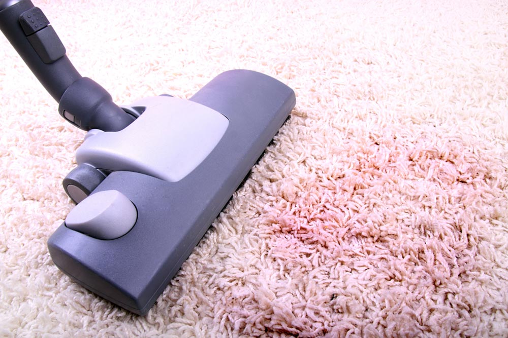 Carpet Cleaning Finsbury Park N4