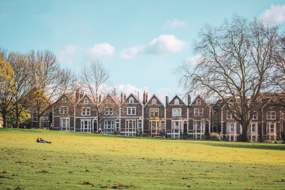 A row of Victorian-style terraced houses constructed from grey stone with white window trims and dark-colored doors, situated along a well-maintained grassy parkland. The houses feature gabled roofs with brick chimneys, and are flanked by leafless trees indicating a winter or early spring season. The sky above is clear with scattered clouds, and the scene is illuminated by natural daylight, highlighting the clean and orderly appearance of the buildings. This residential area exemplifies traditional architectural charm, and the surrounding greenery adds to its aesthetic appeal. The image invokes a sense of community and well-preserved urban living, fitting for content related to domestic surface cleaning and property maintenance by Finsbury Park Carpet Cleaning.