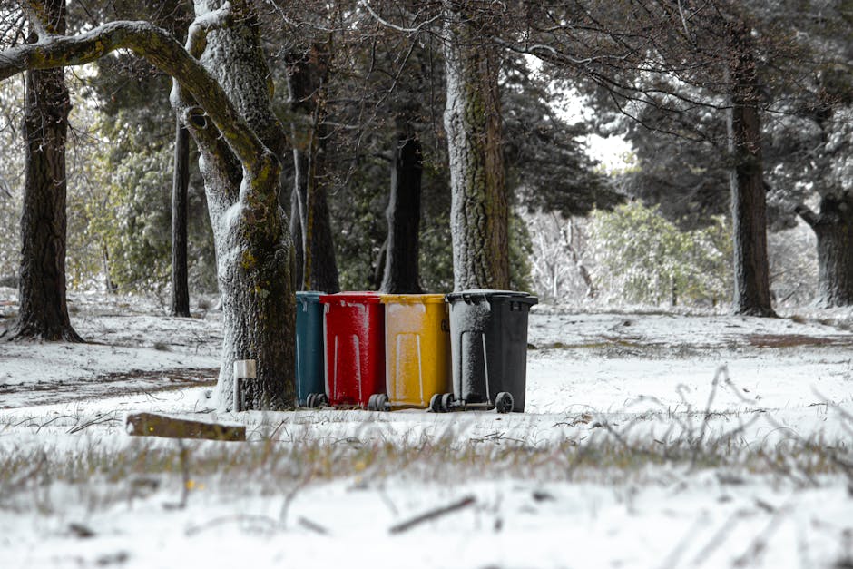 A group of four wheeled waste bins in blue, red, yellow, and black, positioned on a snow-covered ground in a wooded outdoor area with tall trees. The scene appears cold and wintry, with snow blanketing the grass and branches, and trees with some snow on their trunks and branches. The background shows dense trees with a mixture of snow and sparse foliage, under cloudy skies. The bins are arranged in a row near a large tree, and there is minimal human activity visible. This image emphasizes outdoor waste disposal in a natural setting, aligning with the importance of following local waste management rules, as discussed on finsburyparkcarpetcleaning.com’s page about Haringey Council regulations for cleaning waste and disposal in N4, FINSBURY PARK. Finsbury Park Carpet Cleaning promotes proper hygiene and waste practices as part of comprehensive cleaning and sanitisation services.