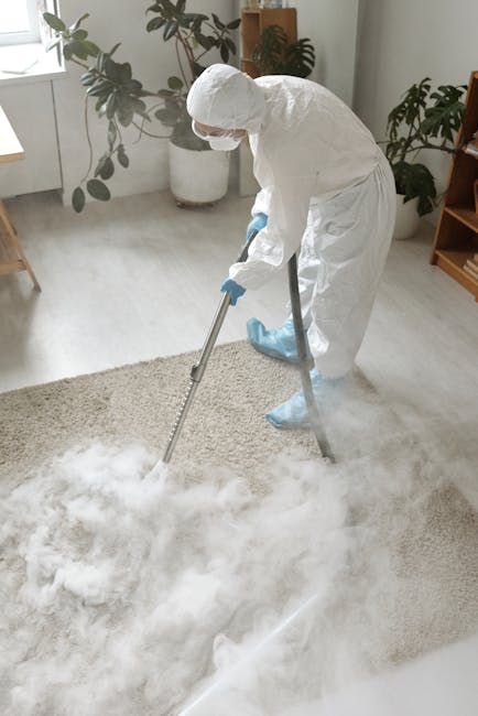 A person dressed in white protective overalls, a facemask, gloves, and shoe covers performing deep cleaning on a light-colored, plush rug within a bright living room. The individual is using a professional steam cleaning machine, which emits steam and cleaning solution onto the carpet, ensuring thorough sanitisation and surface cleaning. The room features potted plants on windowsills, a wooden bookshelf, and natural light coming through large windows. The setting appears clean and well-maintained, highlighting the professional domestic cleaning services offered by Finsbury Park Carpet Cleaning, as featured on the page about same day carpet cleaning in Finsbury Park N4.