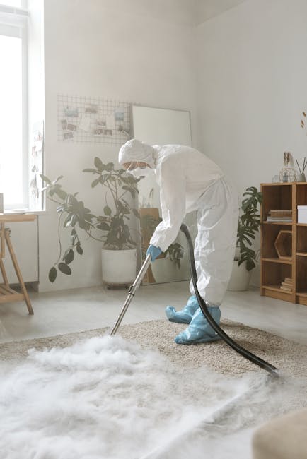 A professional cleaner from Finsbury Park Carpet Cleaning is engaged in deep surface cleaning of a large, plush beige carpet in a bright, modern living room. The cleaner is wearing a full white protective suit, gloves, and shoe covers for sanitisation purposes. They are using a black hose connected to a vacuum or extraction machine to thoroughly clean the carpet, which appears to be in the process of being sanitized to remove dust and dirt. The room features natural light coming through a window, with a potted plant, a wooden side table, and shelving units decorated with minimalistic items in the background. The walls are painted white, enhancing the clean and hygienic atmosphere, and the overall room exhibits a pristine, dust-free condition, reflecting professional domestic cleaning services.